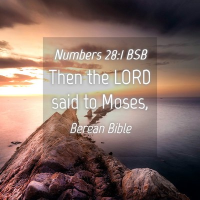Picture 04 - Numbers 28:1 BSB - Then the LORD said to - Bible Verse Picture