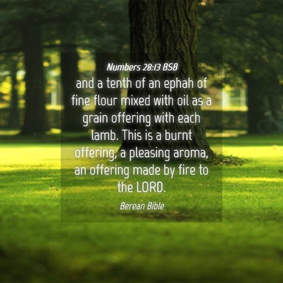 Picture 04 - Numbers 28:13 BSB - and a tenth of an ephah of fine flour mixed with - Bible Verse Picture