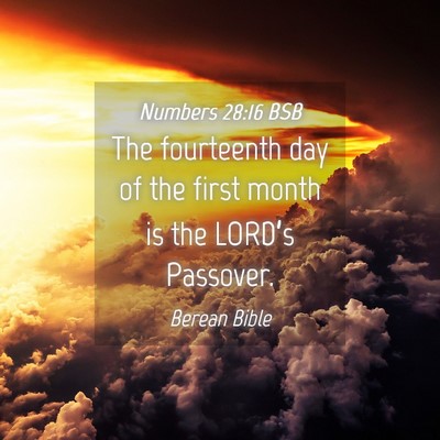 Picture 04 - Numbers 28:16 BSB - The fourteenth day of the first month is the - Bible Verse Picture