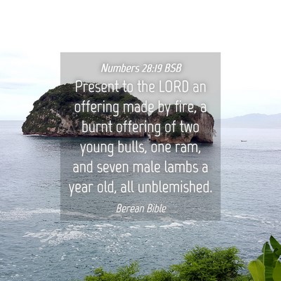 Picture 04 - Numbers 28:19 BSB - Present to the LORD an offering made by fire, a - Bible Verse Picture