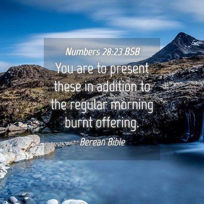 Picture 04 - Numbers 28:23 BSB - You are to present these in addition to the - Bible Verse Picture