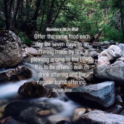 Picture 04 - Numbers 28:24 BSB - Offer the same food each day for seven days as an - Bible Verse Picture