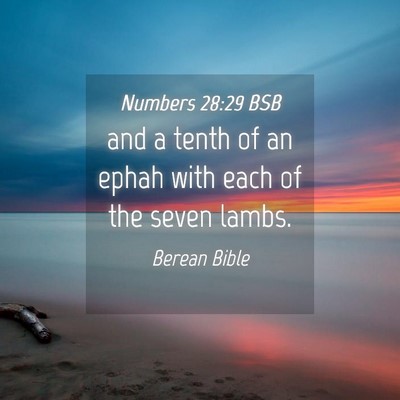 Picture 04 - Numbers 28:29 BSB - and a tenth of an ephah with each of the seven - Bible Verse Picture
