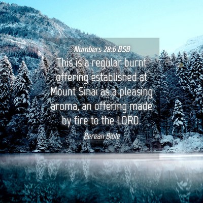 Picture 04 - Numbers 28:6 BSB - This is a regular burnt offering established at - Bible Verse Picture
