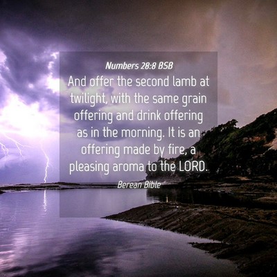 Picture 04 - Numbers 28:8 BSB - And offer the second lamb at twilight, with the - Bible Verse Picture