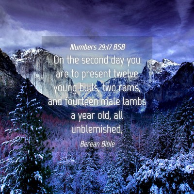 Picture 04 - Numbers 29:17 BSB - On the second day you are to present twelve young - Bible Verse Picture