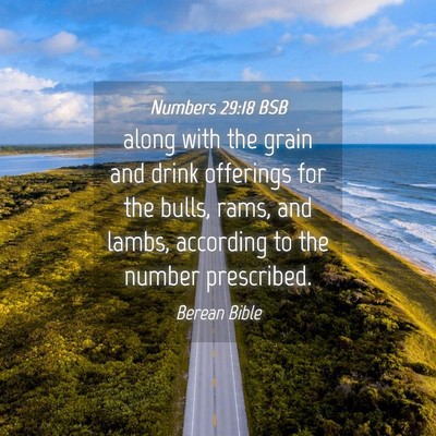 Picture 04 - Numbers 29:18 BSB - along with the grain and drink offerings for the - Bible Verse Picture