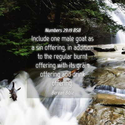 Picture 04 - Numbers 29:19 BSB - Include one male goat as a sin offering, in - Bible Verse Picture