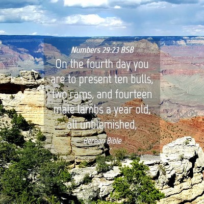 Picture 04 - Numbers 29:23 BSB - On the fourth day you are to present ten bulls, - Bible Verse Picture