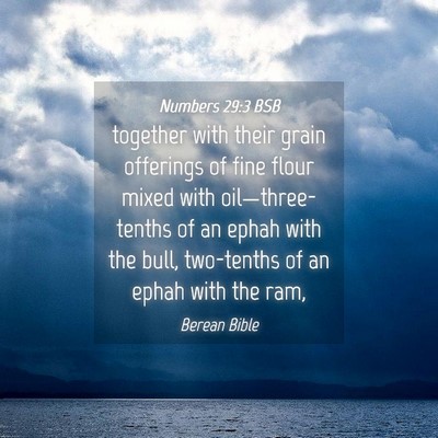 Picture 04 - Numbers 29:3 BSB - together with their grain offerings of fine flour - Bible Verse Picture