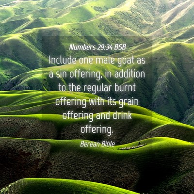 Picture 04 - Numbers 29:34 BSB - Include one male goat as a sin offering, in - Bible Verse Picture