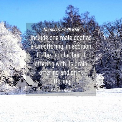 Picture 04 - Numbers 29:38 BSB - Include one male goat as a sin offering, in - Bible Verse Picture