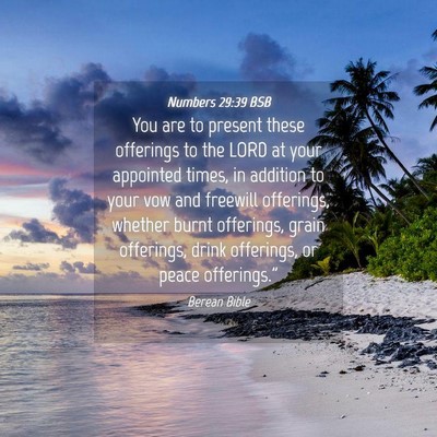 Picture 04 - Numbers 29:39 BSB - You are to present these offerings to the LORD at - Bible Verse Picture