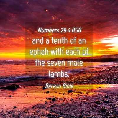 Picture 04 - Numbers 29:4 BSB - and a tenth of an ephah with each of the seven - Bible Verse Picture