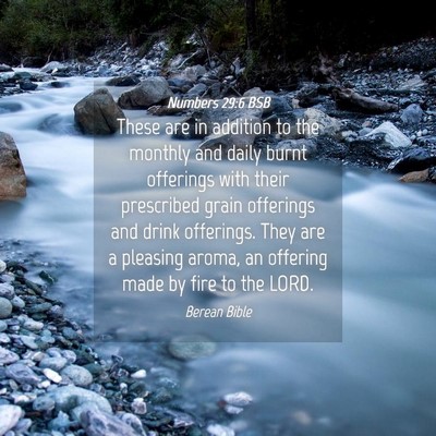 Picture 04 - Numbers 29:6 BSB - These are in addition to the monthly and daily - Bible Verse Picture