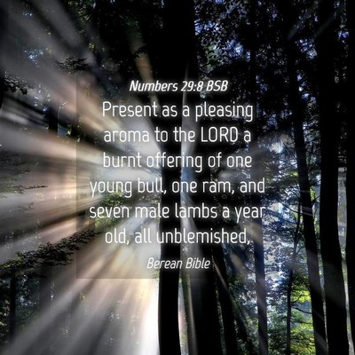 Picture 04 - Numbers 29:8 BSB - Present as a pleasing aroma to the LORD a burnt - Bible Verse Picture