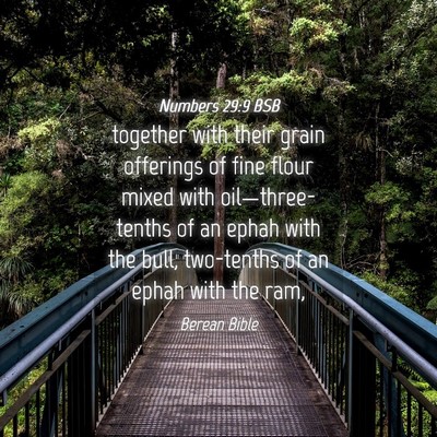 Picture 04 - Numbers 29:9 BSB - together with their grain offerings of fine flour - Bible Verse Picture