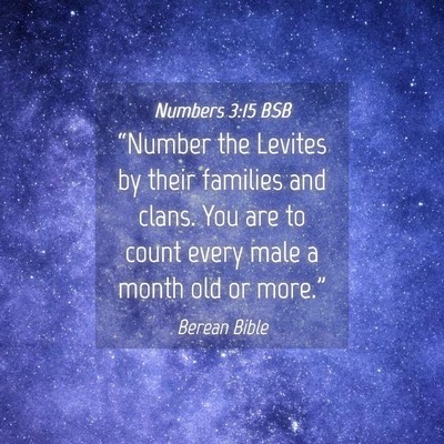 Picture 04 - Numbers 3:15 BSB - “Number the Levites by their families and - Bible Verse Picture