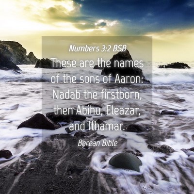 Picture 04 - Numbers 3:2 BSB - These are the names of the sons of Aaron: Nadab - Bible Verse Picture