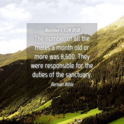 Picture 04 - Numbers 3:28 BSB - The number of all the males a month old or more - Bible Verse Picture
