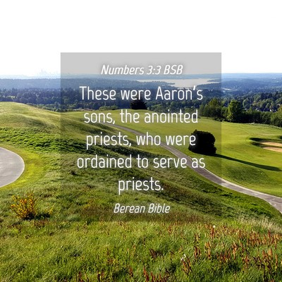 Picture 04 - Numbers 3:3 BSB - These were Aaron’s sons, the anointed priests, - Bible Verse Picture