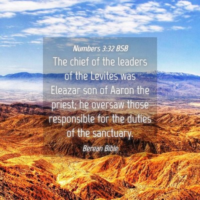 Picture 04 - Numbers 3:32 BSB - The chief of the leaders of the Levites was - Bible Verse Picture