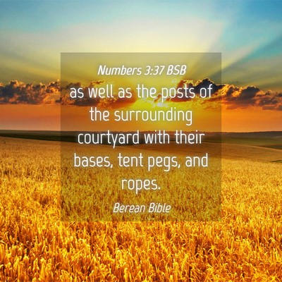 Picture 04 - Numbers 3:37 BSB - as well as the posts of the surrounding courtyard - Bible Verse Picture