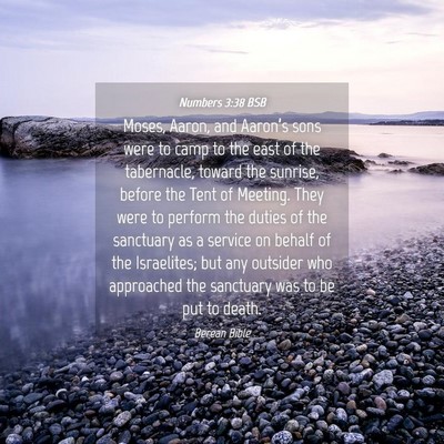 Picture 04 - Numbers 3:38 BSB - Moses, Aaron, and Aaron’s sons were to camp to - Bible Verse Picture