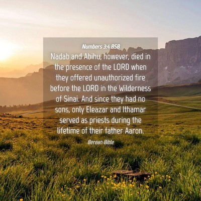 Picture 04 - Numbers 3:4 BSB - Nadab and Abihu, however, died in the presence of - Bible Verse Picture