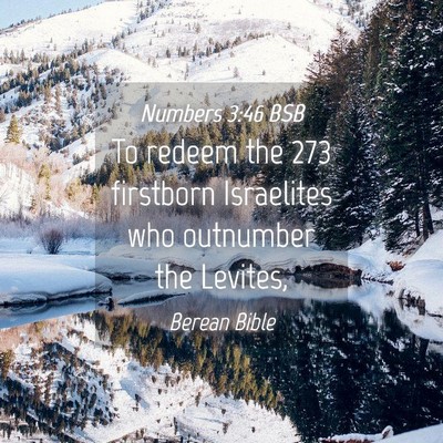 Picture 04 - Numbers 3:46 BSB - To redeem the 273 firstborn Israelites who - Bible Verse Picture