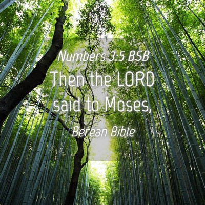 Picture 04 - Numbers 3:5 BSB - Then the LORD said to - Bible Verse Picture