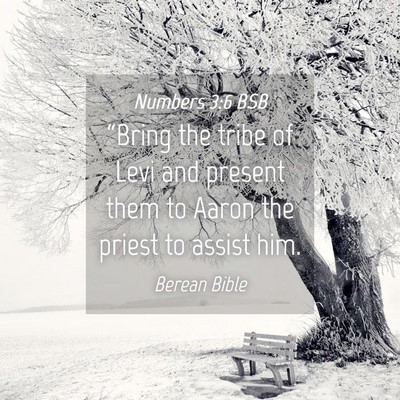 Picture 04 - Numbers 3:6 BSB - “Bring the tribe of Levi and present them to - Bible Verse Picture
