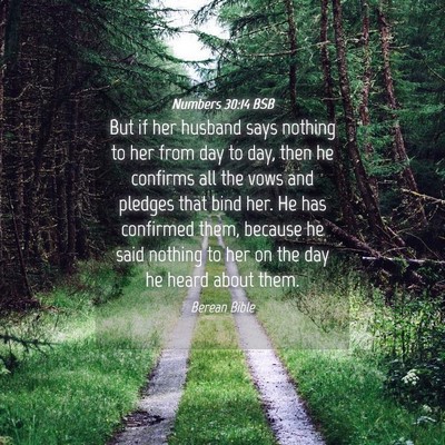 Picture 04 - Numbers 30:14 BSB - But if her husband says nothing to her from day - Bible Verse Picture