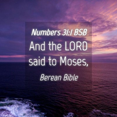 Picture 04 - Numbers 31:1 BSB - And the LORD said to - Bible Verse Picture