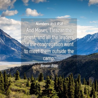 Picture 04 - Numbers 31:13 BSB - And Moses, Eleazar the priest, and all the - Bible Verse Picture