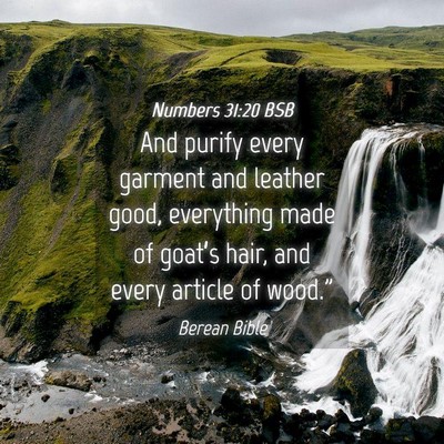 Picture 04 - Numbers 31:20 BSB - And purify every garment and leather good, - Bible Verse Picture
