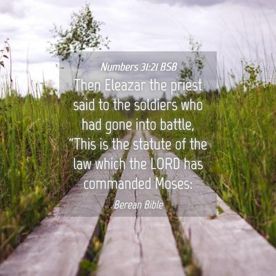Picture 04 - Numbers 31:21 BSB - Then Eleazar the priest said to the soldiers who - Bible Verse Picture
