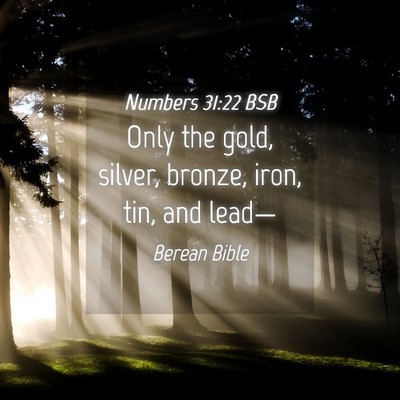 Picture 04 - Numbers 31:22 BSB - Only the gold, silver, bronze, iron, tin, and - Bible Verse Picture