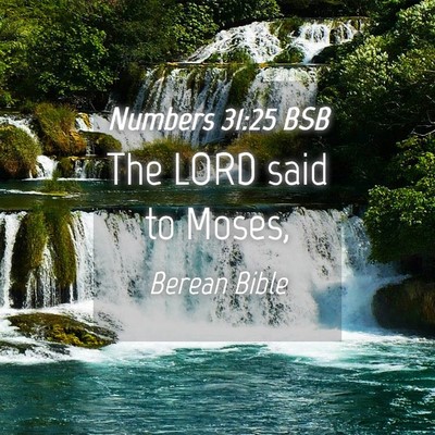 Picture 04 - Numbers 31:25 BSB - The LORD said to - Bible Verse Picture