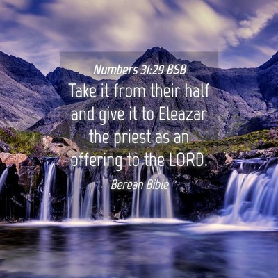 Picture 04 - Numbers 31:29 BSB - Take it from their half and give it to Eleazar - Bible Verse Picture
