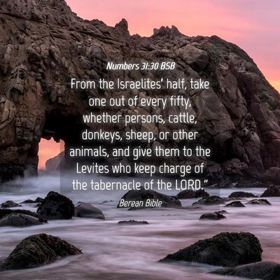 Picture 04 - Numbers 31:30 BSB - From the Israelites’ half, take one out of - Bible Verse Picture