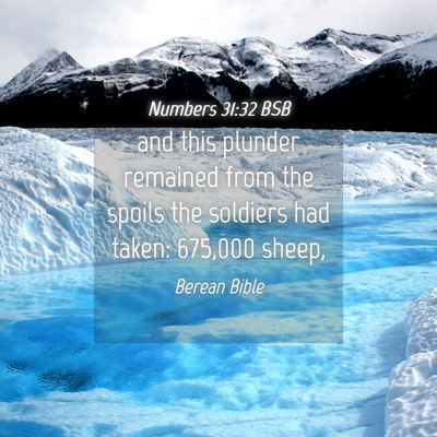 Picture 04 - Numbers 31:32 BSB - and this plunder remained from the spoils the - Bible Verse Picture