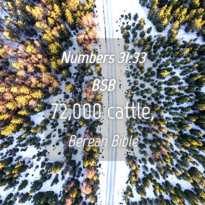 Picture 04 - Numbers 31:33 BSB - 72,000 - Bible Verse Picture