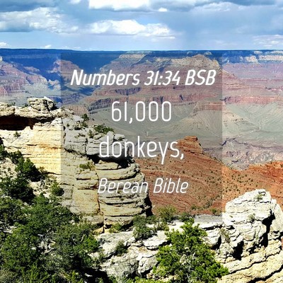 Picture 04 - Numbers 31:34 BSB - 61,000 - Bible Verse Picture