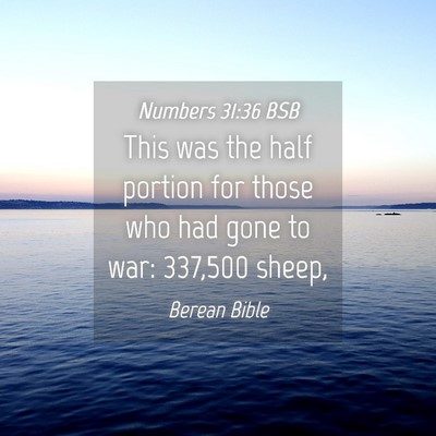 Picture 04 - Numbers 31:36 BSB - This was the half portion for those who had gone - Bible Verse Picture