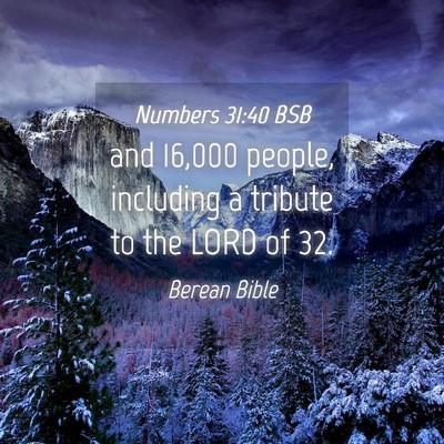 Picture 04 - Numbers 31:40 BSB - and 16,000 people, including a tribute to the - Bible Verse Picture
