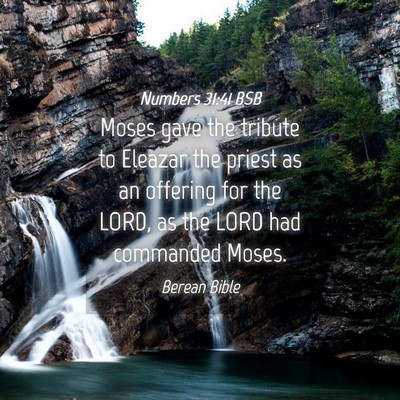 Picture 04 - Numbers 31:41 BSB - Moses gave the tribute to Eleazar the priest as - Bible Verse Picture