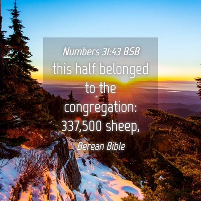 Picture 04 - Numbers 31:43 BSB - this half belonged to the congregation: 337,500 - Bible Verse Picture