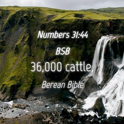 Picture 04 - Numbers 31:44 BSB - 36,000 - Bible Verse Picture