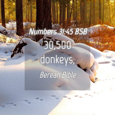 Picture 04 - Numbers 31:45 BSB - 30,500 - Bible Verse Picture